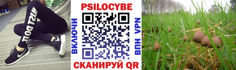Псилоцибиновые грибы GOLDEN TEACHER  Зеленоградск 